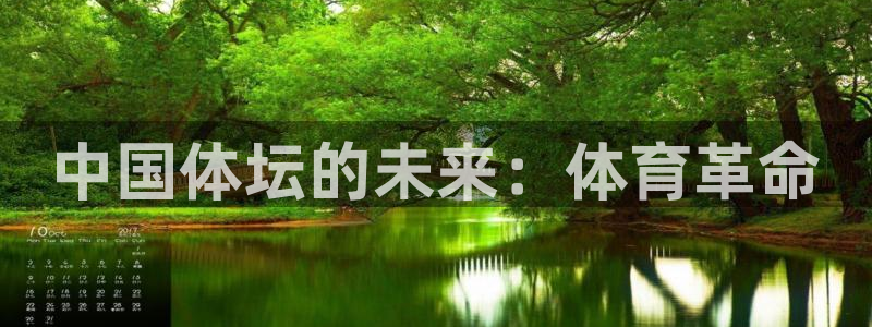 3377体育官网下载平台:中国体坛的未来:体育革命