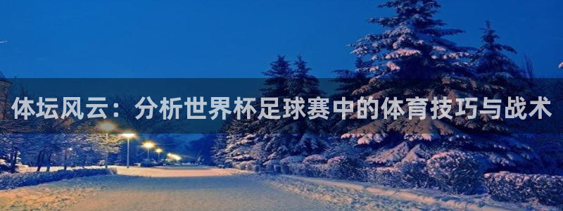 3377体育官网下载招商:体坛风云:分析世界杯足球赛中的体育