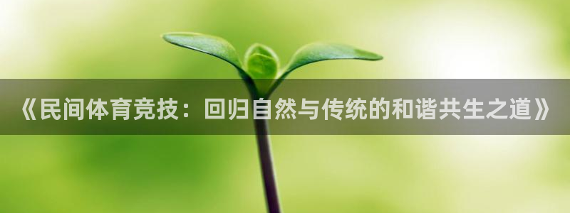 3377体育官方正版app新能源:《民间体育竞技:回归自然与